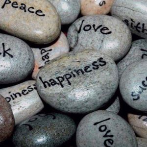 Meet your Posher, Blake